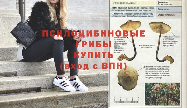 трава Арсеньев