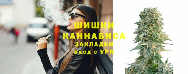 трава Арсеньев
