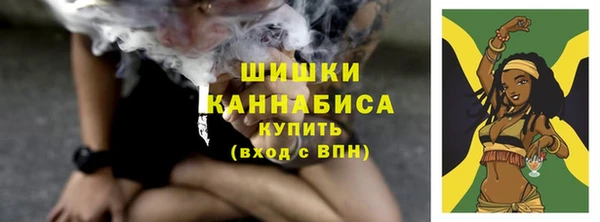 трава Арсеньев