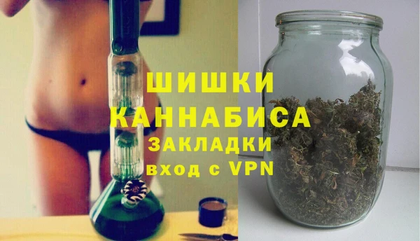 трава Арсеньев