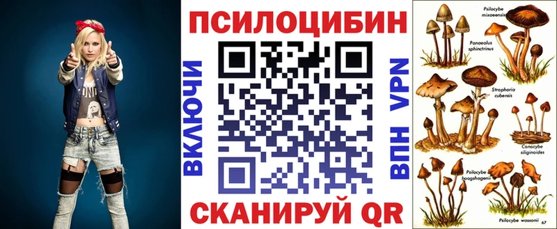 сайты даркнета формула  Курганинск  Псилоцибиновые грибы MAGIC MUSHROOMS 